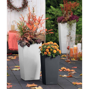 LECHUZA Fioriera Cubico Color 30 ALL-IN-ONE Ardesia 13138 421426