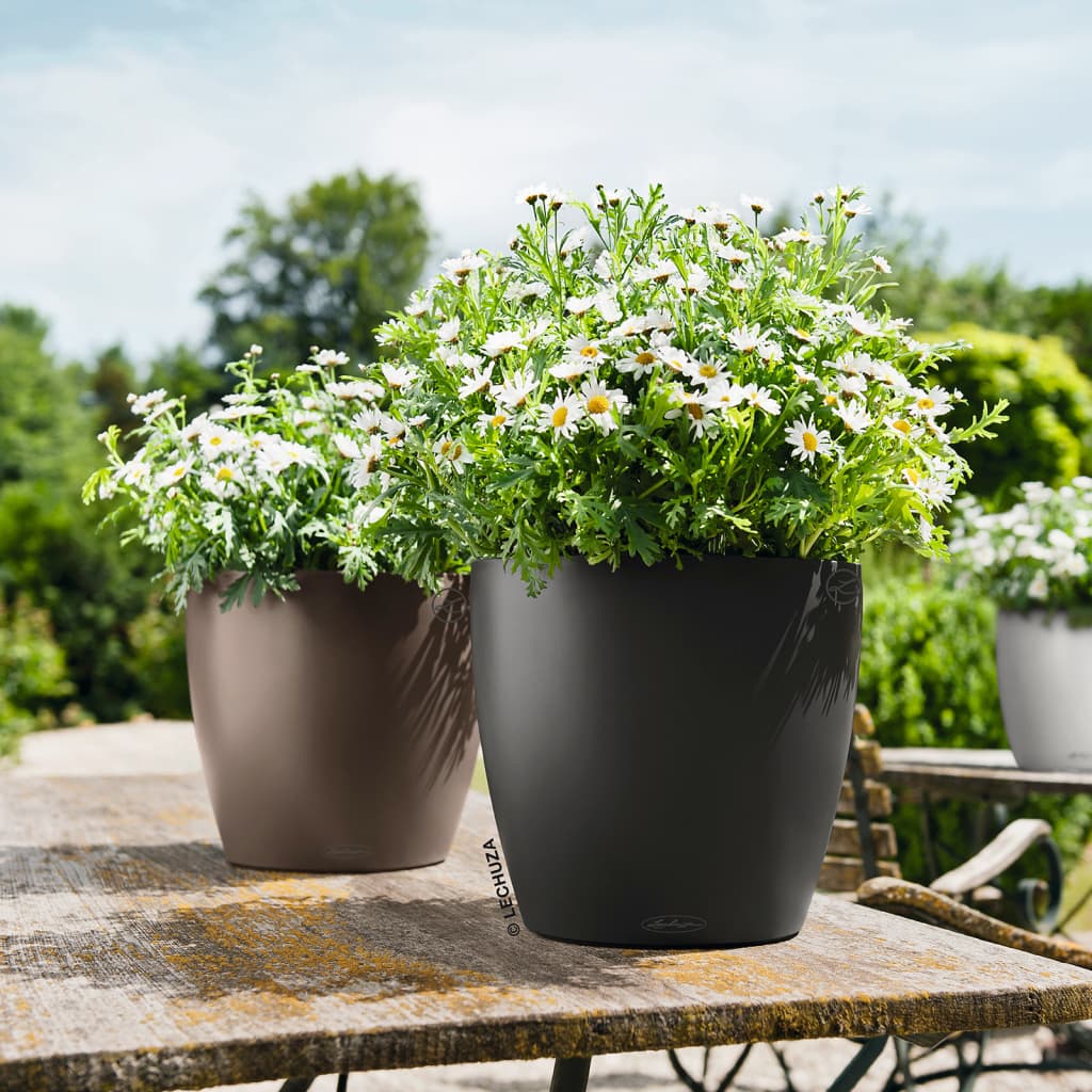 LECHUZA Fioriera Classico Color 28 ALL-IN-ONE Lavagna 13204 421432