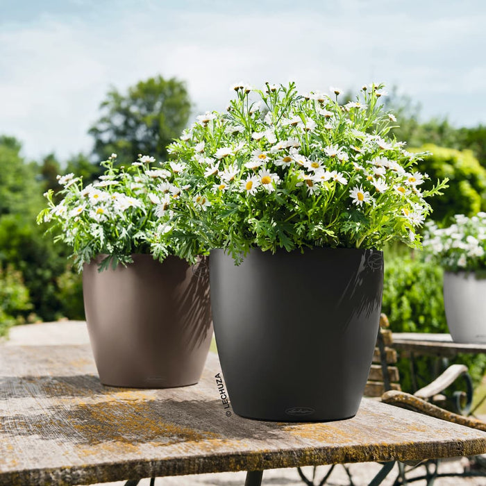 LECHUZA Fioriera Classico Color 28 ALL-IN-ONE Lavagna 13204 421432