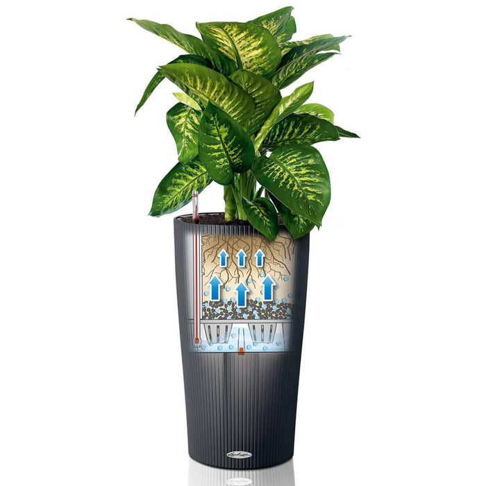 LECHUZA Fioriera Cilindro Color 32 ALL-IN-ONE Ardesia 13953 421452