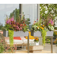 LECHUZA Fioriera BALCONERA Stone 80 ALL-IN-ONE Grigia 425628