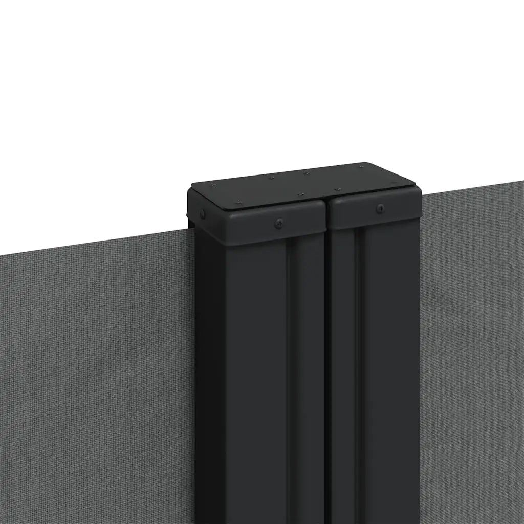 Tenda da Sole Laterale Retrattile Antracite 100x1000 cm 4004688