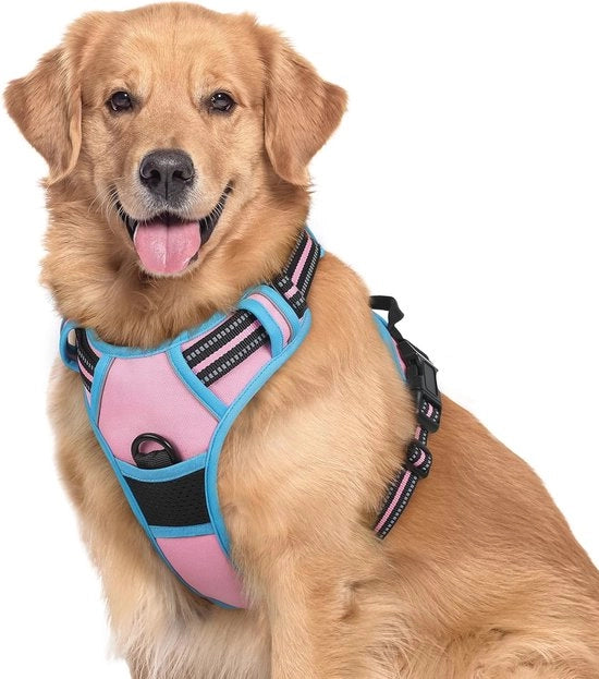 Tirante per cani di taglia media e grande - Tirante anti-scappamento con strisce riflettenti e regolazione