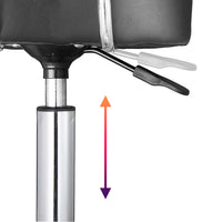 Sgabello con ruote e schinale Estetista Sedia Casa Lavoro girevole Ecopelle Nero