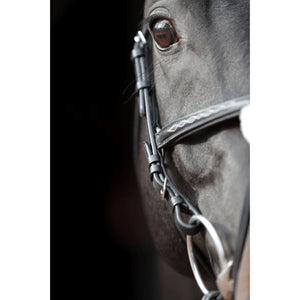 Covalliero Briglia Cancun per Pony Nera 436740