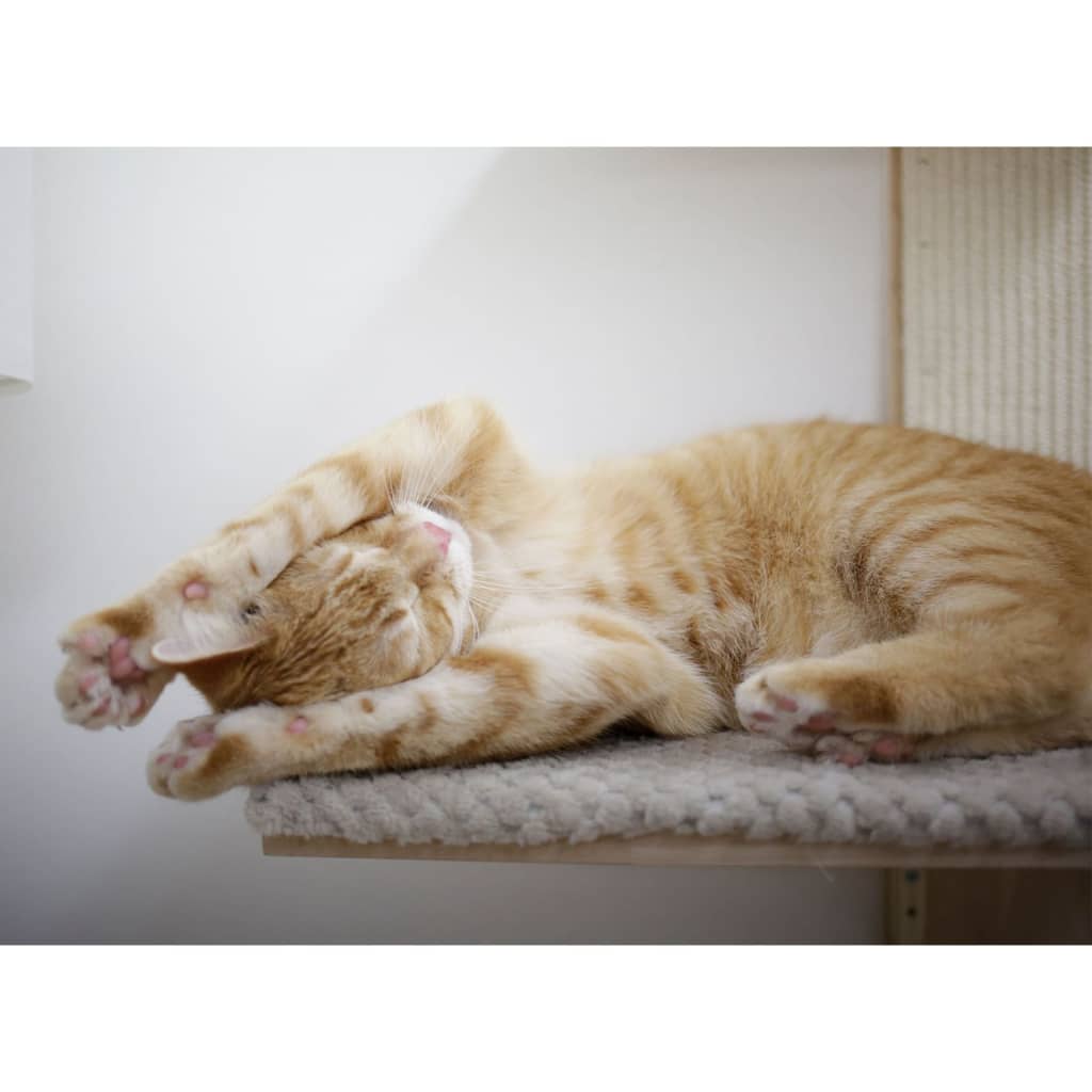 Kerbl Palo Tiragraffi per Gatti Timber Wall 150 cm Naturale e Tortora 445261