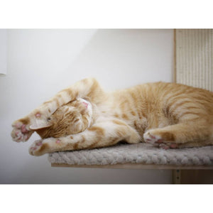 Kerbl Palo Tiragraffi per Gatti Timber Wall 150 cm Naturale e Tortora 445261