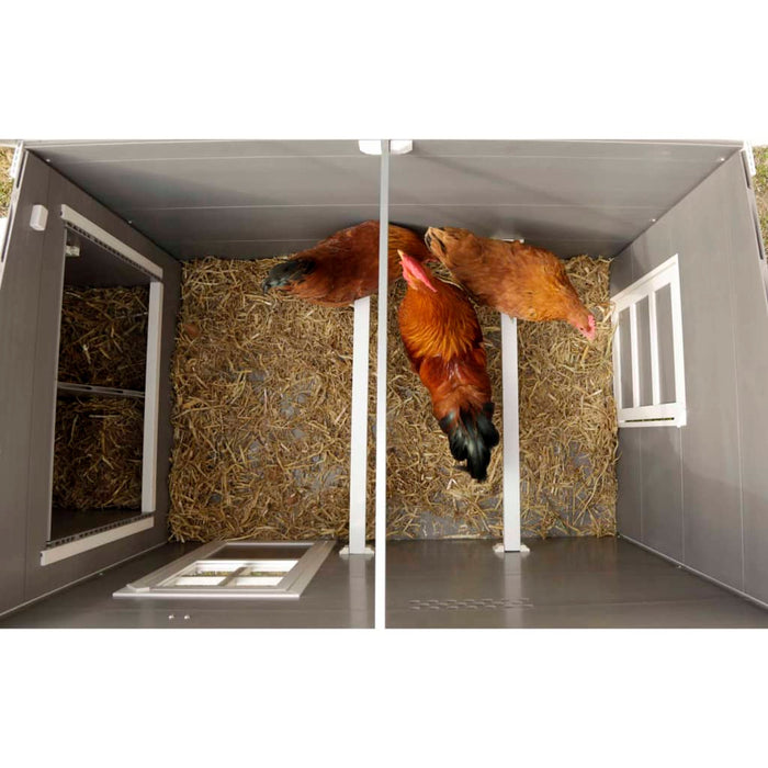 Kerbl Pollaio ECO Barney in Plastica 137x73x83 cm Grigio e Bianco 423474