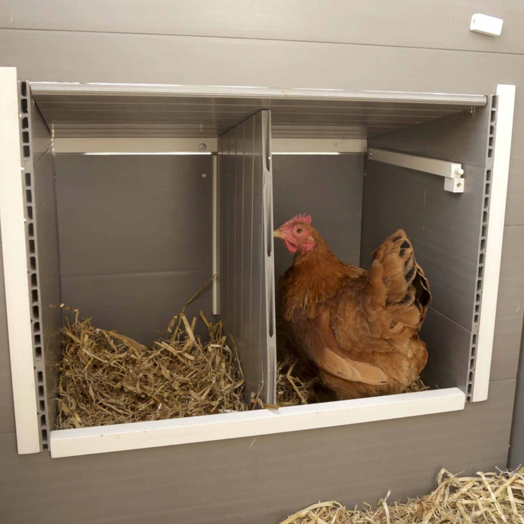 Kerbl Pollaio ECO Barney in Plastica 137x73x83 cm Grigio e Bianco 423474