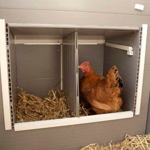 Kerbl Pollaio ECO Barney in Plastica 137x73x83 cm Grigio e Bianco 423474