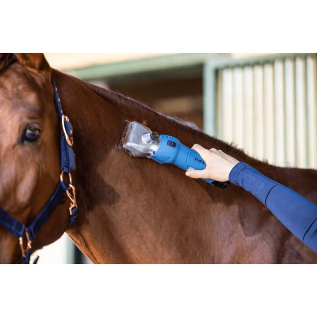 Kerbl Tosatrice da Fattoria per Cavalli Akku2 436730