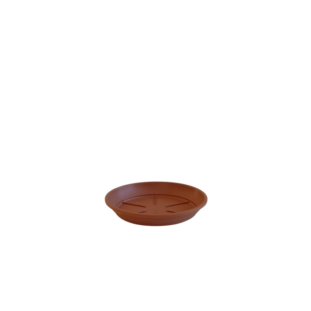 SOTTOVASO CRETA D.12XH2CM COLOR TERRACOTTA