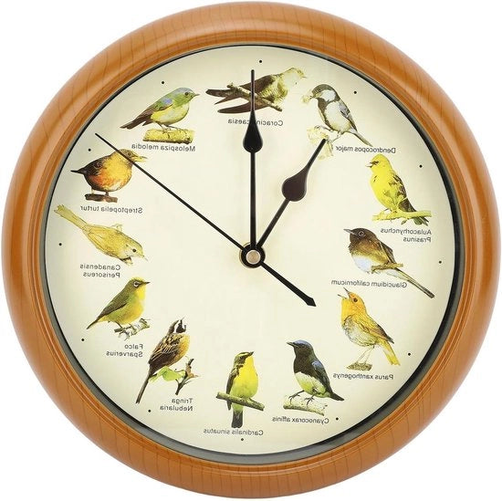 Orologio da Parete con Suoni degli Uccelli Origineali - 12 Specie di Uccelli - Silenzioso - Modello BRUIN