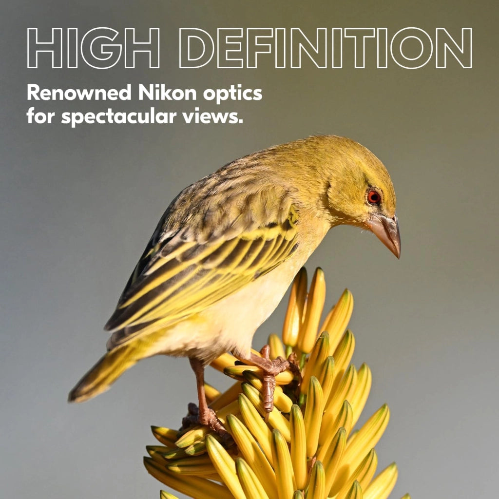 Nikon Prostaff P3 10x30 binocolo | Binocolo compatto impermeabile, antiappannamento, corazzato in gomma, ampio campo visivo e lungo sollievo per gli occhi, modello ufficiale Nikon USA