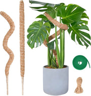 Set di 2 Steli di Monstera – 60 cm – Sostegno Flessibile per Piante da Interno – Bastone di Coco Artigianale con Accessori