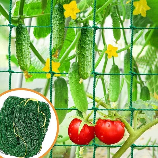 Supporto per piante rampicanti per giardino, robusto rete per piante rampicanti per orto, fagioli, pomodori, vite da vino, rete per crescita esterna (2,9 x 1,8 m)