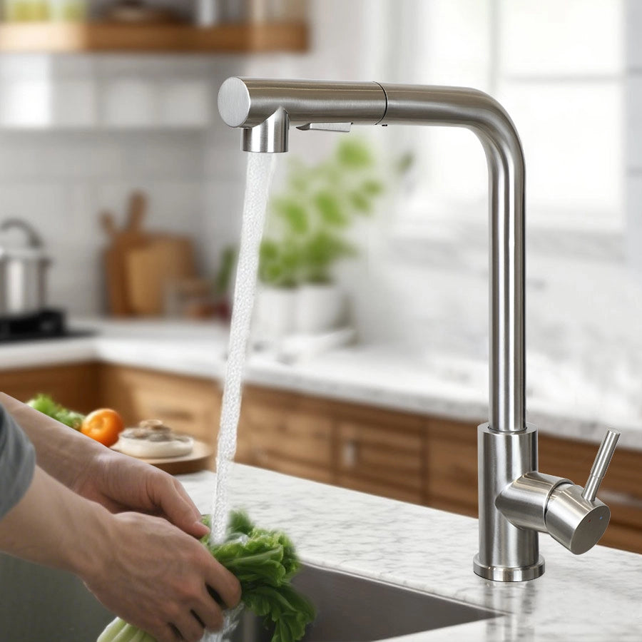 ZMH Rubinetti cucina estraibile in acciaio inox con doccia e 2 getti