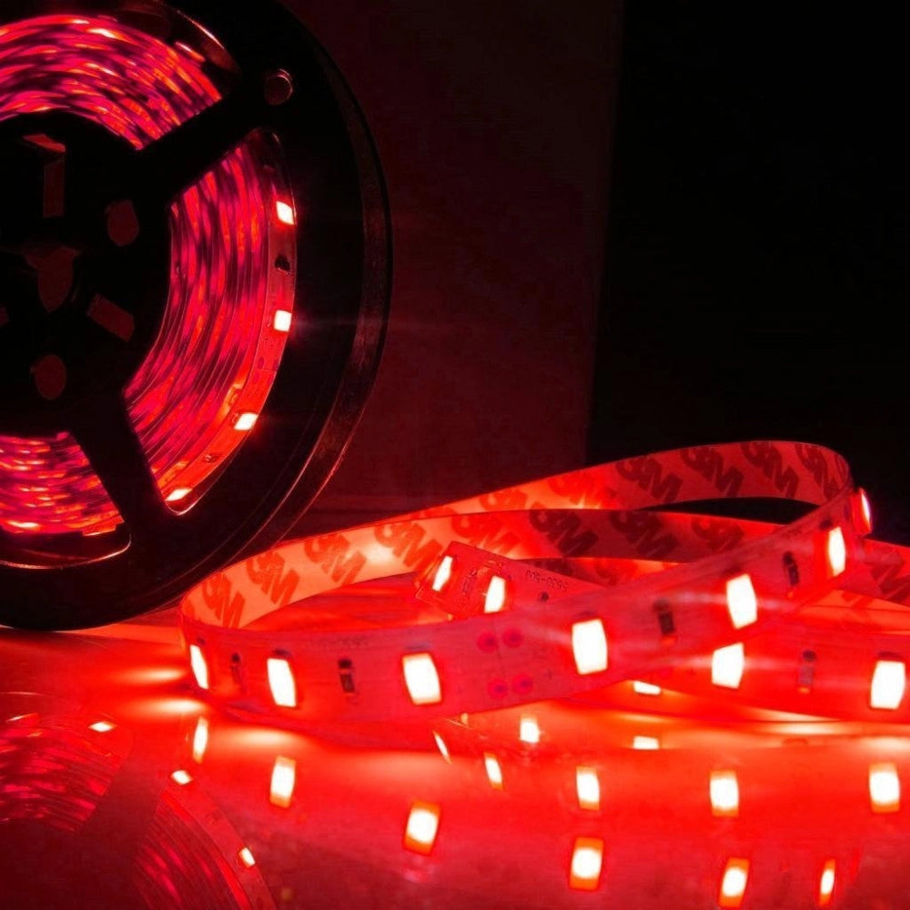 Trade Shop - Strip Smd Bobina Striscia Led 5050 Flessibile 5mt Adesiva Interno Esterno Ip65 -