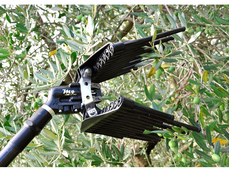 Kit raccolta olive per 1 operatore Lisam LM031 motocompressore Lisam LM 500/10 professionale con motore Honda GX 160 - AT04 | 2,50-4,00 mt