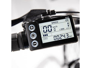 Bicicletta elettrica 36V 13Ah King EMG pedalata assistita autonomia 80Km