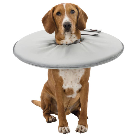 TRIXIE Collare Protettivo per Animali L-XL 27 cm