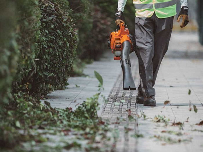 Soffiatore aspiratore a scoppio Echo ES-250ES trituratore motore Euro2