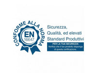 Camino da pavimento a combustibile liquido Ruby Dubai potenza 2,5 KW