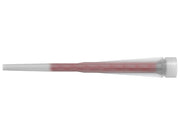 BECCUCCI UNIVERSALI A.545853