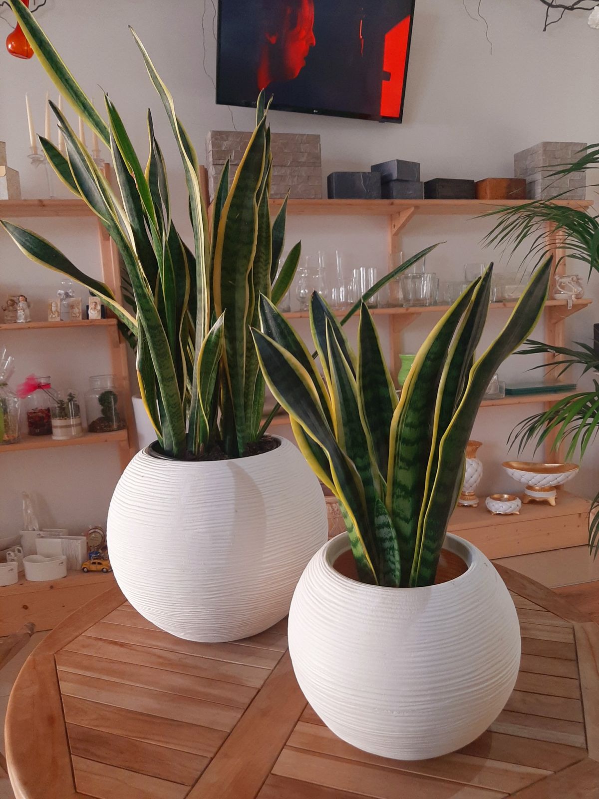 Vaso Caspò Sfera Rigata Shabby Vasar in resina diametro 40cm Colore: Bianco Perla