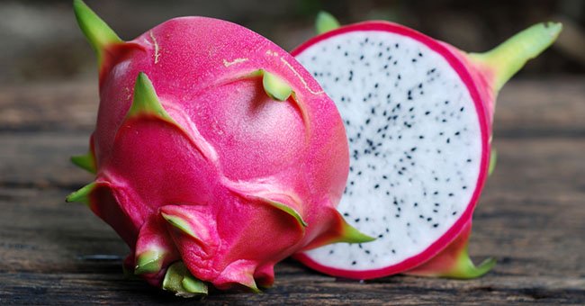 Pianta di Pitaya Frutto del Drago polpa bianca Hylocereus undatus H 70cm