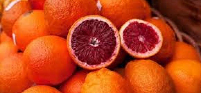 Pianta di Arancio moro in vaso 24cm