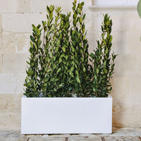 FIORIERA VASO Matera RETTANGOLARE 100X40X40 cm RESINA MODERNO - MONACIS Colore: Bianco