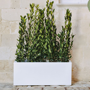 FIORIERA VASO Matera RETTANGOLARE 100X40X40 cm RESINA MODERNO - MONACIS Colore: Bianco