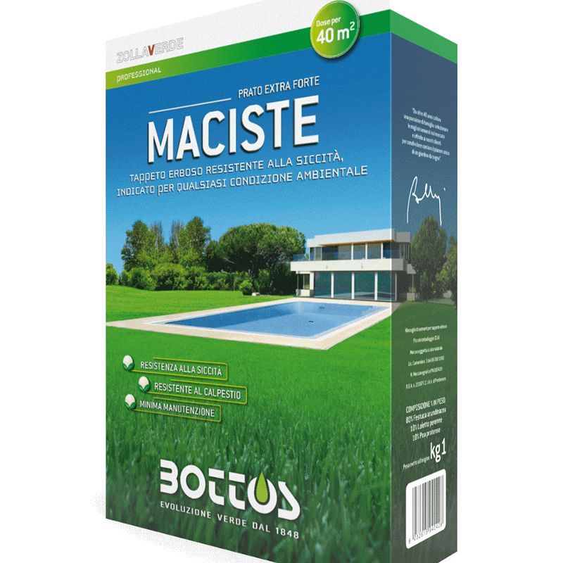 Bottos Sementi Prato Maciste 1Kg - Festuca Arundinacea