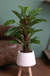 Pianta Artificiale Pothos in Vaso con 30 Foglie H 85 cm