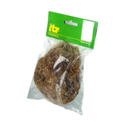 SPUGNA MARINA NATURALE 14 CM PER PITTURE   SM- ITALRULLI- 1,0 pz