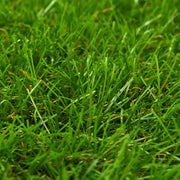 Prato Artificiale 1,33x10 m/40 mm Verde 148835
