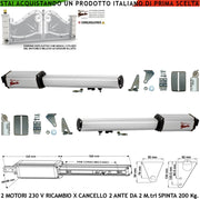 Motoriduttori Elettromeccanici 220 V Corsa 300 MM Spinta 2 Q.li Ricambio Cancello Automatico 4 MT 2 Ante da 2 Metri 2 Condensatori 16 µF Kit Staffe Chiave Sblocco sul Carrello Compatibili Elettronica BTF Came Key Serai Misure 810X88X88 mm