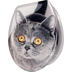 Stel4style - sedile wc con abbassamento automatico, motivo: gatt