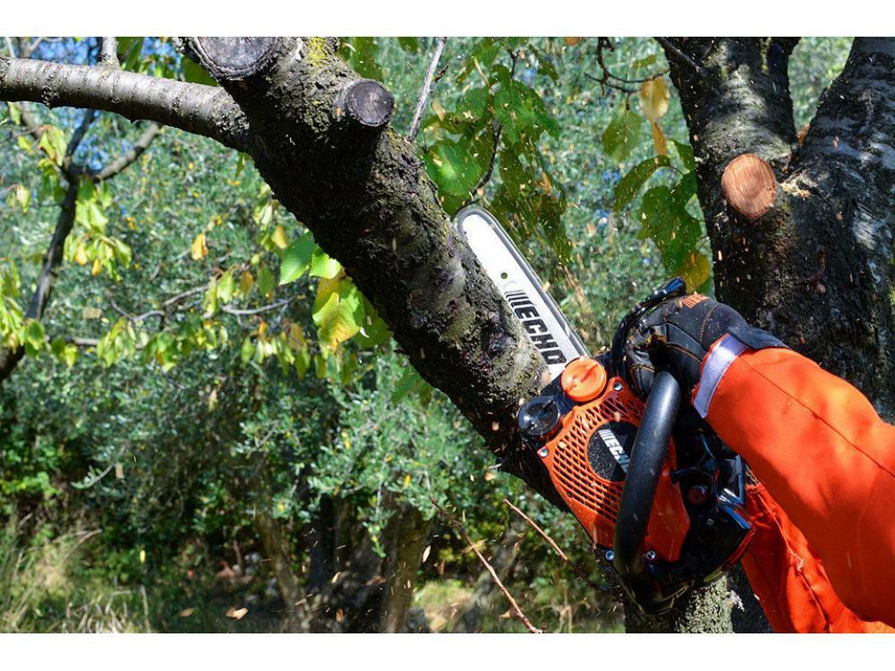 Motosega Echo CS-2511TESC 25cc 1.5HP barra carving 20cm peso 2.3kg e omaggi