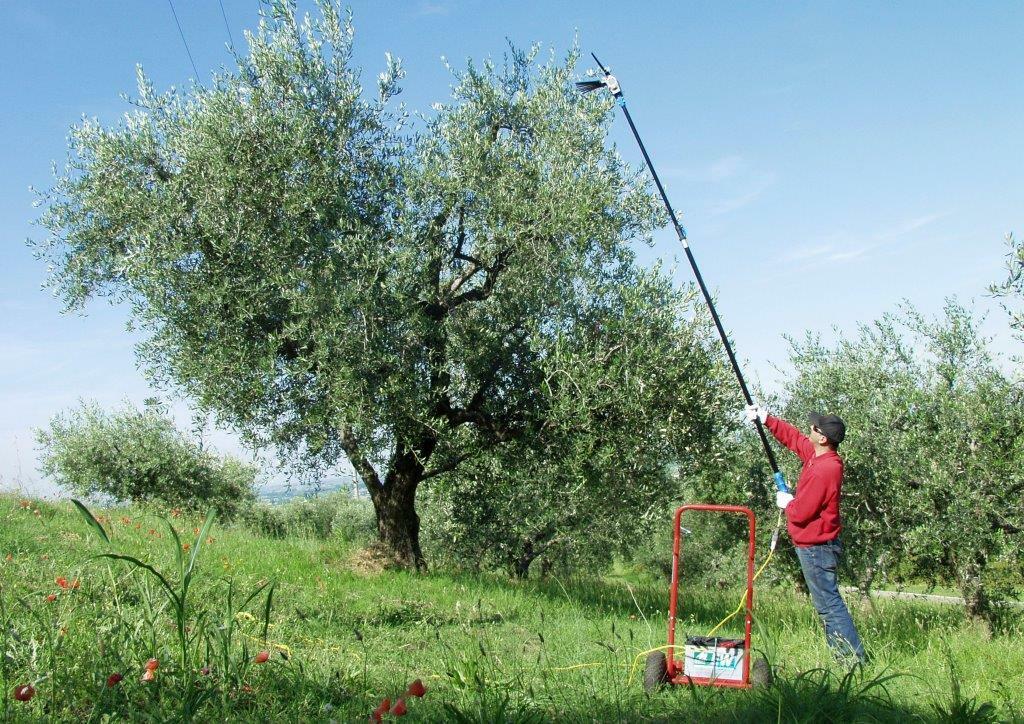 Pettine elettrico professionale Lisam Oliwatt 2 con batteria 12V 60Ah