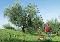 Pettine elettrico professionale Lisam Oliwatt 2 con batteria 12V 60Ah