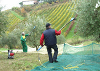 Pettine elettrico professionale Lisam Oliwatt 2 con batteria 12V 60Ah