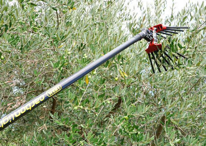 Lisam V8 Turbo, Abbacchiatore Olive Pneumatico per grandi produzioni di raccolta olive