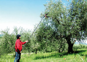 Lisam V8 Turbo, Abbacchiatore Olive Pneumatico per grandi produzioni di raccolta olive