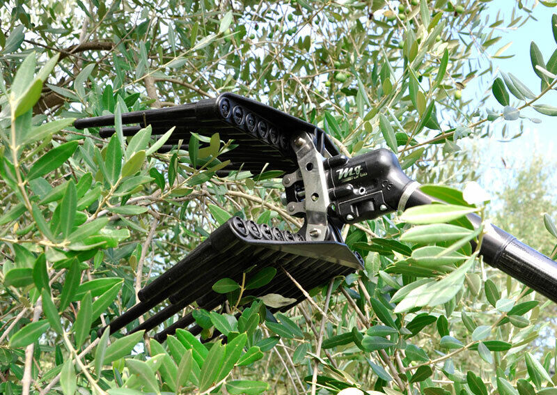 Abbacchiatore per olive Lisam MG Turbo pneumatico con astine arrotondate