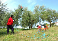 Abbacchiatore Lisam V8 EVO con astine intercambiabili