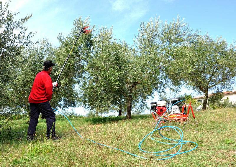 Abbacchiatore Lisam V8 EVO con astine intercambiabili