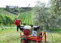 Kit raccolta olive per 2 operatori Lisam Hobby con motocompressore Honda 2 abbacchiatori