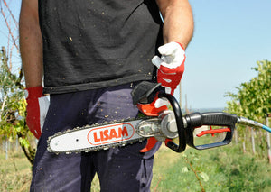Seghetto pneumatico Lisam Sky-Man per potatura con barra a punta con impugnatura